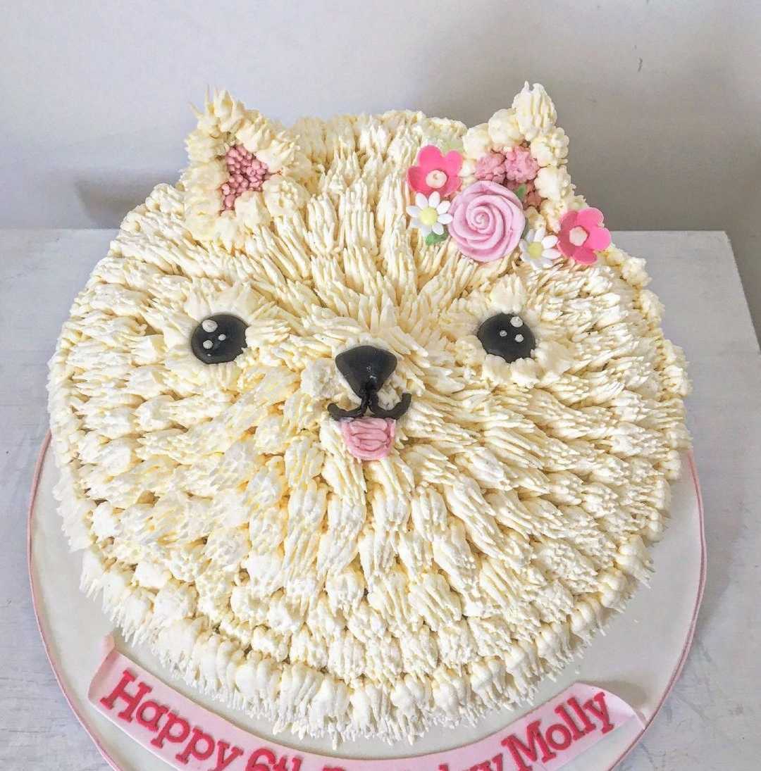 Premium RED N White Velvet Cake